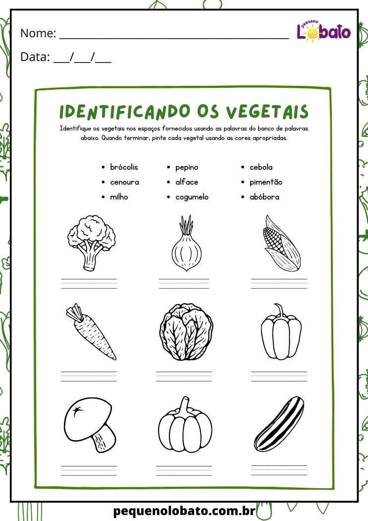 alimentação saudavel desenhe e identifique os vegetais