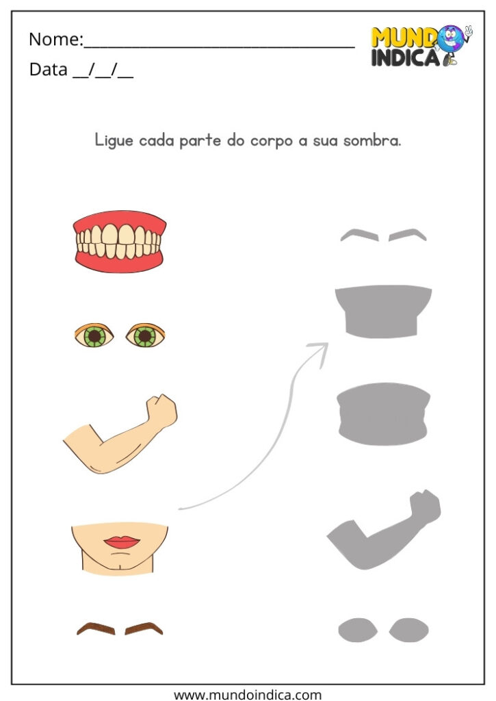 15 Atividades sobre o Corpo Humano para Imprimir