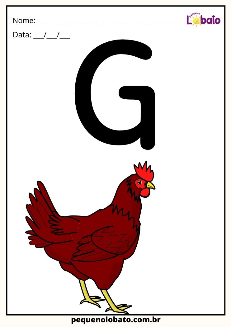 letra G de galo