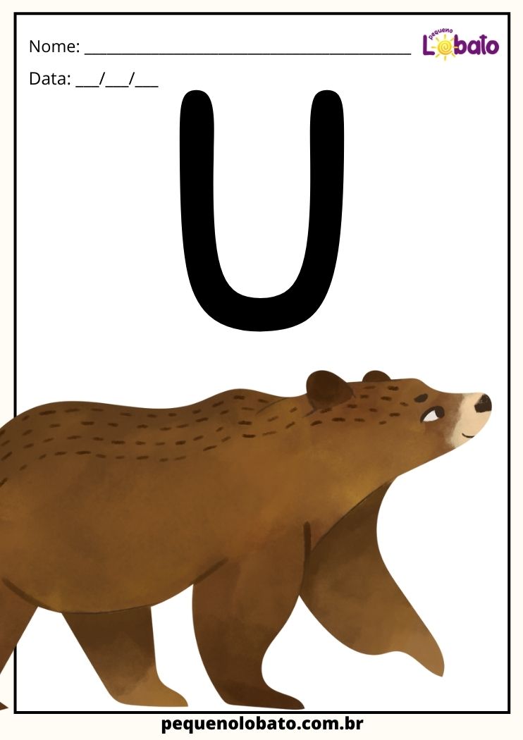 letra U de urso