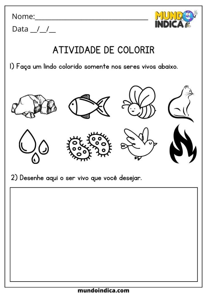 20 Atividades de Ciências para Imprimir