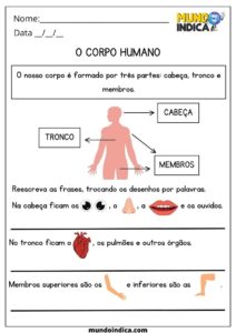20 Atividades de Ciências para Imprimir