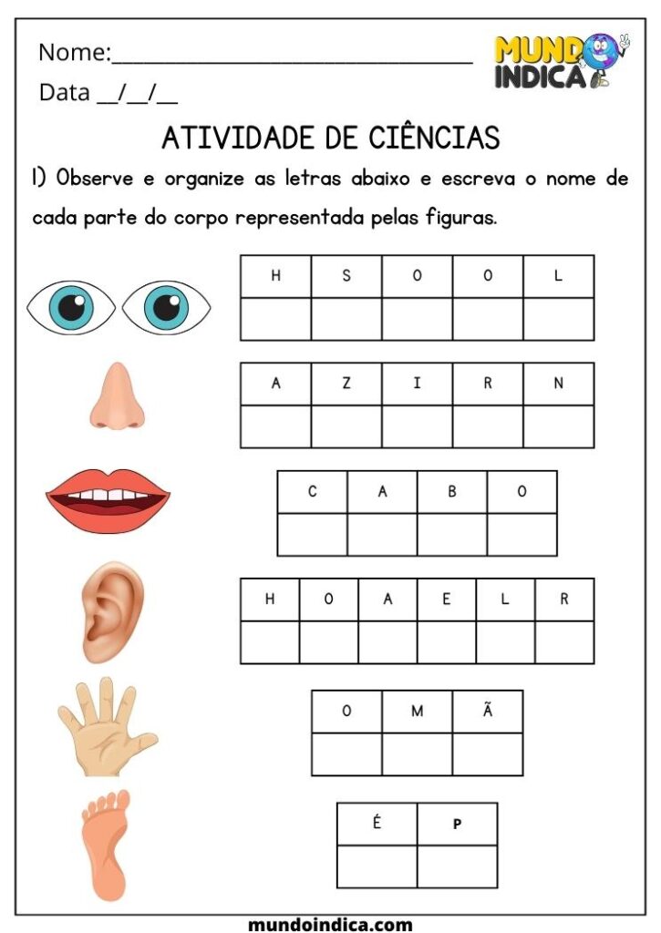 20 Atividades de Ciências 1 Ano Fundamental para Imprimir