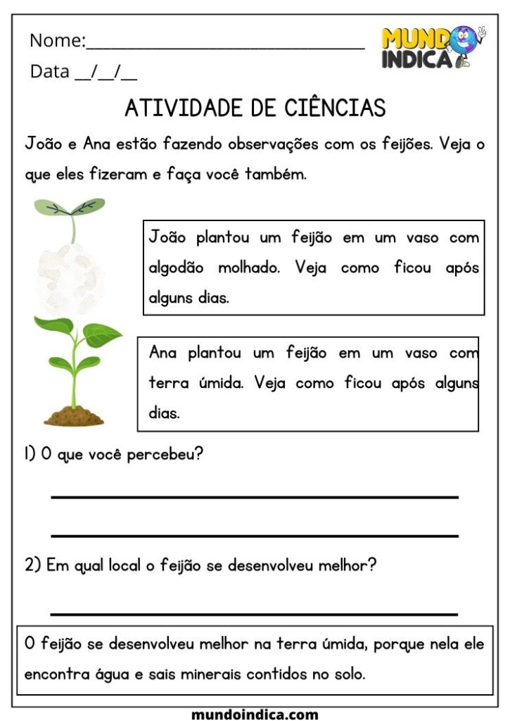 20 Atividades de Ciências 2 Ano Fundamental