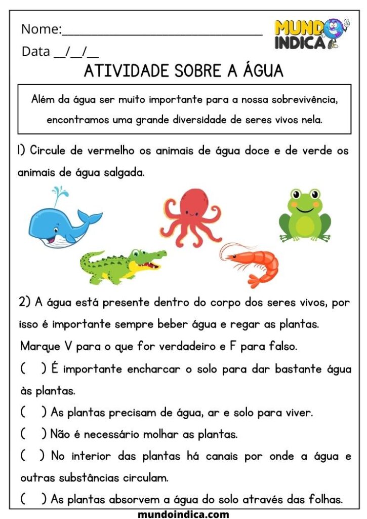 20 Atividades de Ciências 2 Ano Fundamental