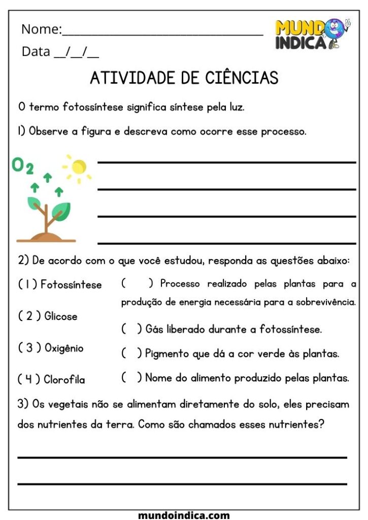 20 Atividades de Ciências 4 Ano Fundamental