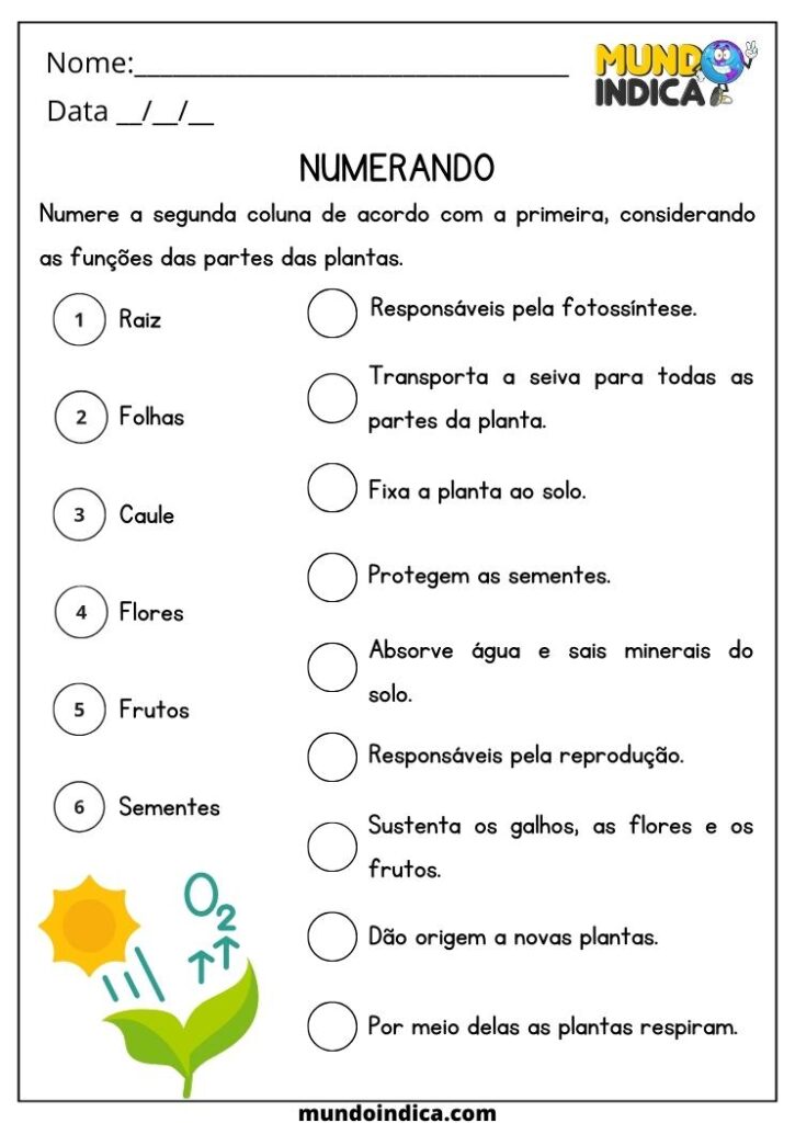 20 Atividades de Ciências 4 Ano Fundamental