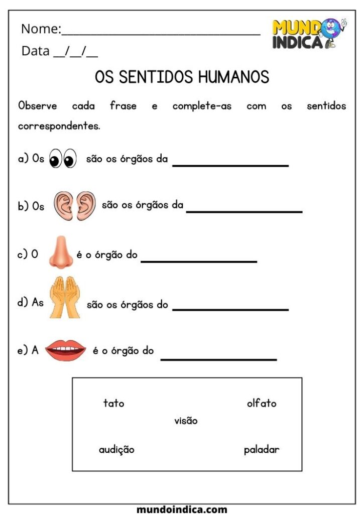 20 Atividades de Ciências 4 Ano Fundamental