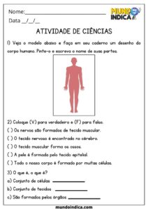20 Atividades de Ciências 5 Ano Fundamental Para Imprimir