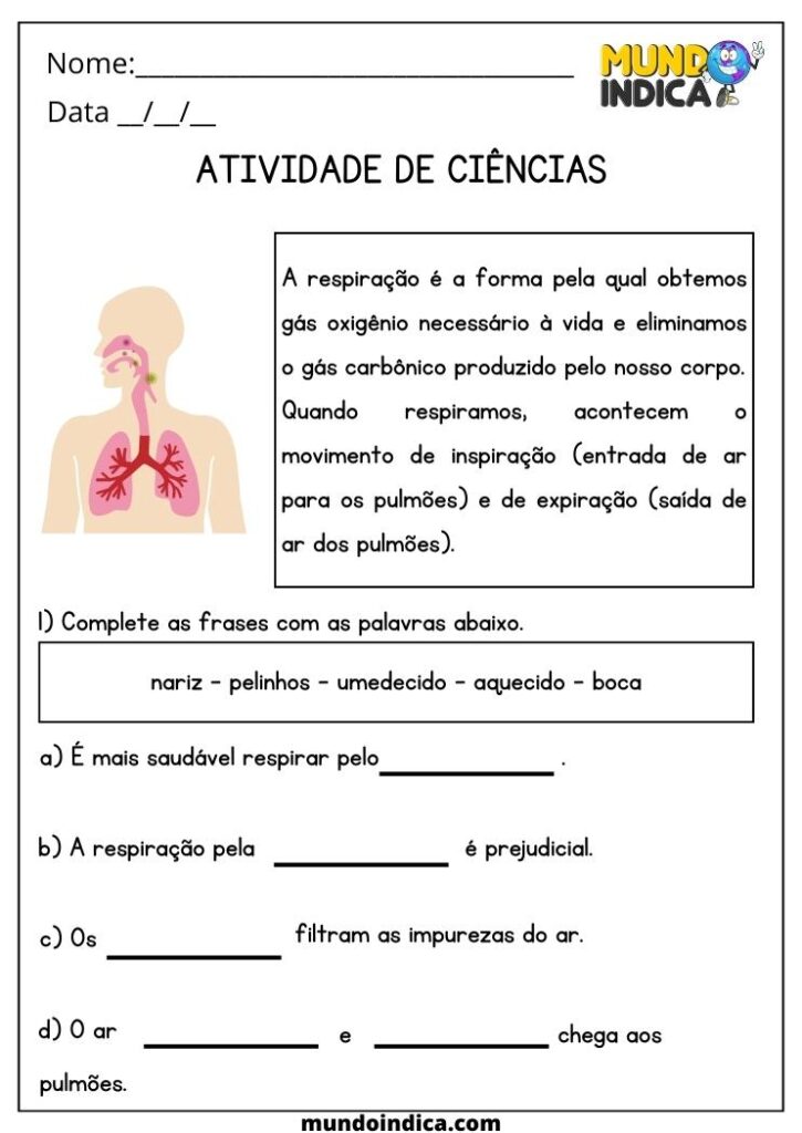 20 Atividades de Ciências 5 Ano Fundamental Para Imprimir