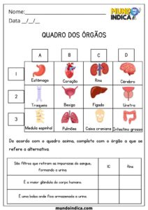 20 Atividades de Ciências 5 Ano Fundamental Para Imprimir