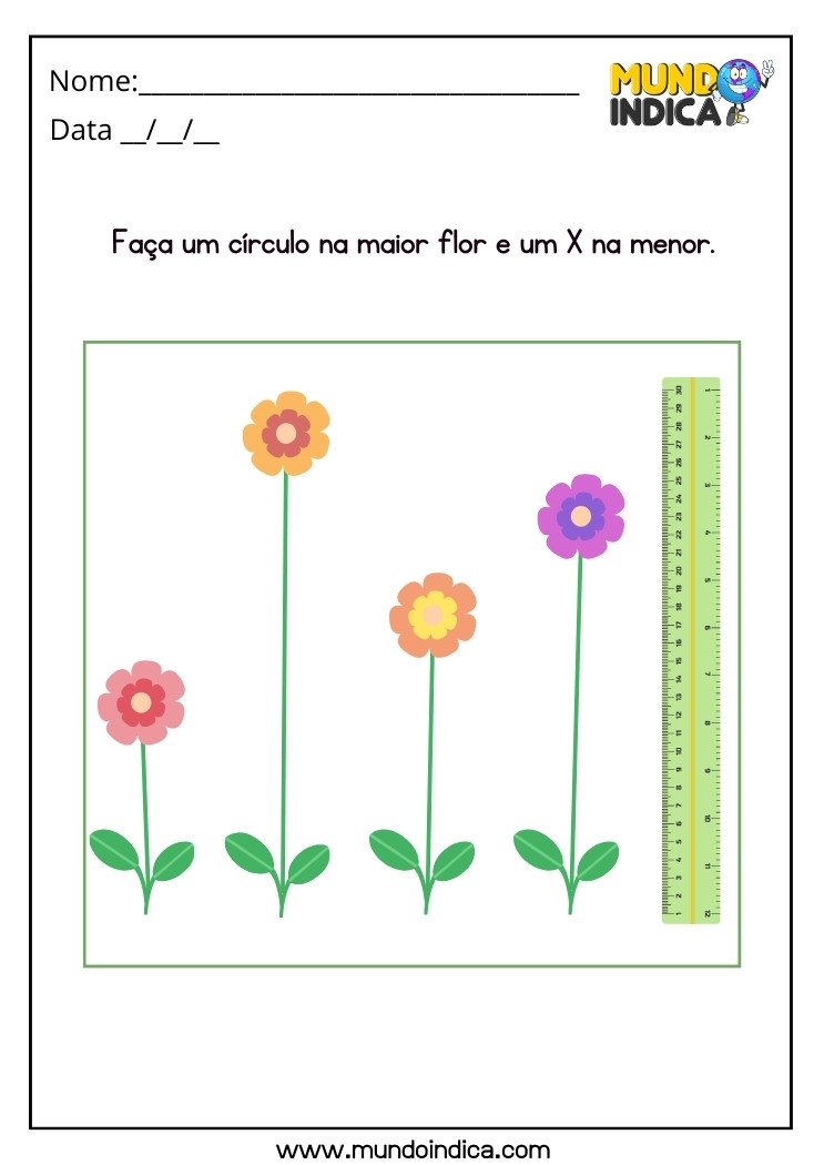 Atividade de Maior e Menor com Flores para Autismo para Imprimir