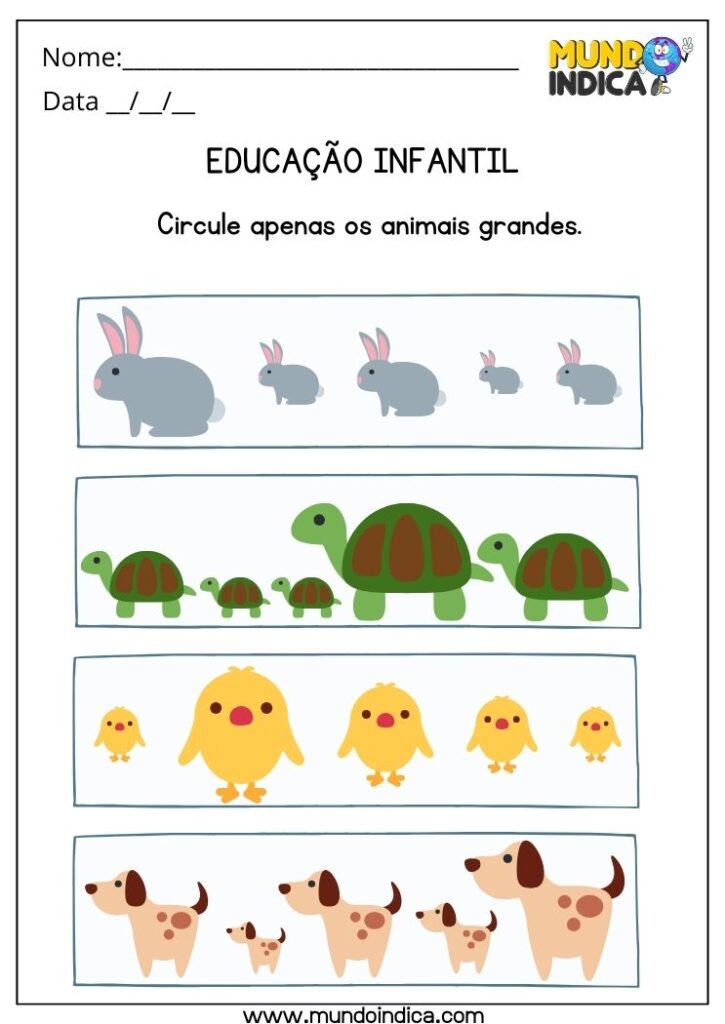 30 Atividades para Educação Infantil 2 Ano para Imprimir
