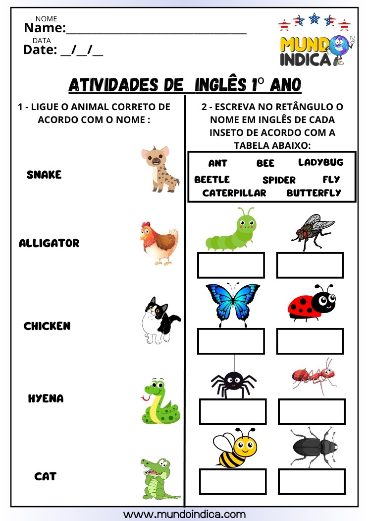 Atividade de Inglês para 1º Ano com Animais para Ligar a Figura ao Animal Correto e Escrever o Nome dos Insetos nos Retângulos para Imprimir