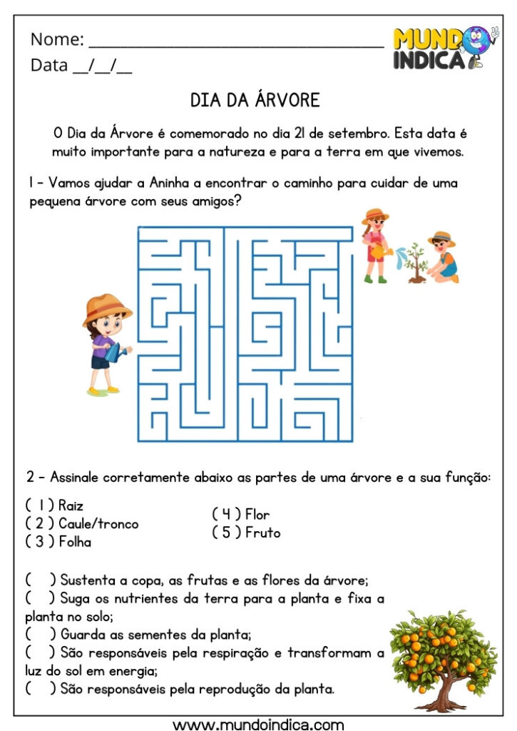 10 Atividades para o Dia da Árvore