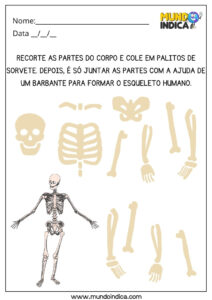 10 Atividades Lúdicas sobre o Corpo Humano