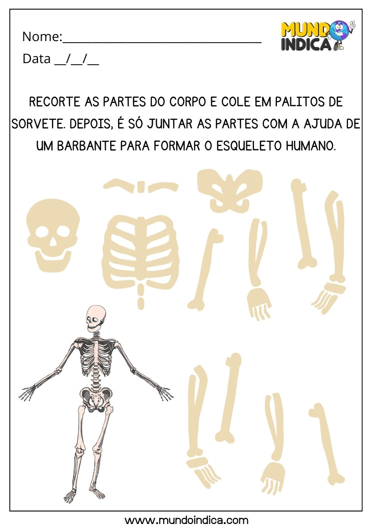 Atividade Lúdica sobre o Corpo Humano Recorte as Partes, Cole em Palitos e Junte com Barbante para Formar o Esqueleto Humano