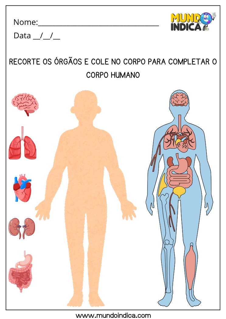 Atividade Lúdica sobre o Corpo Humano Recorte os Órgãos e Cole no Corpo