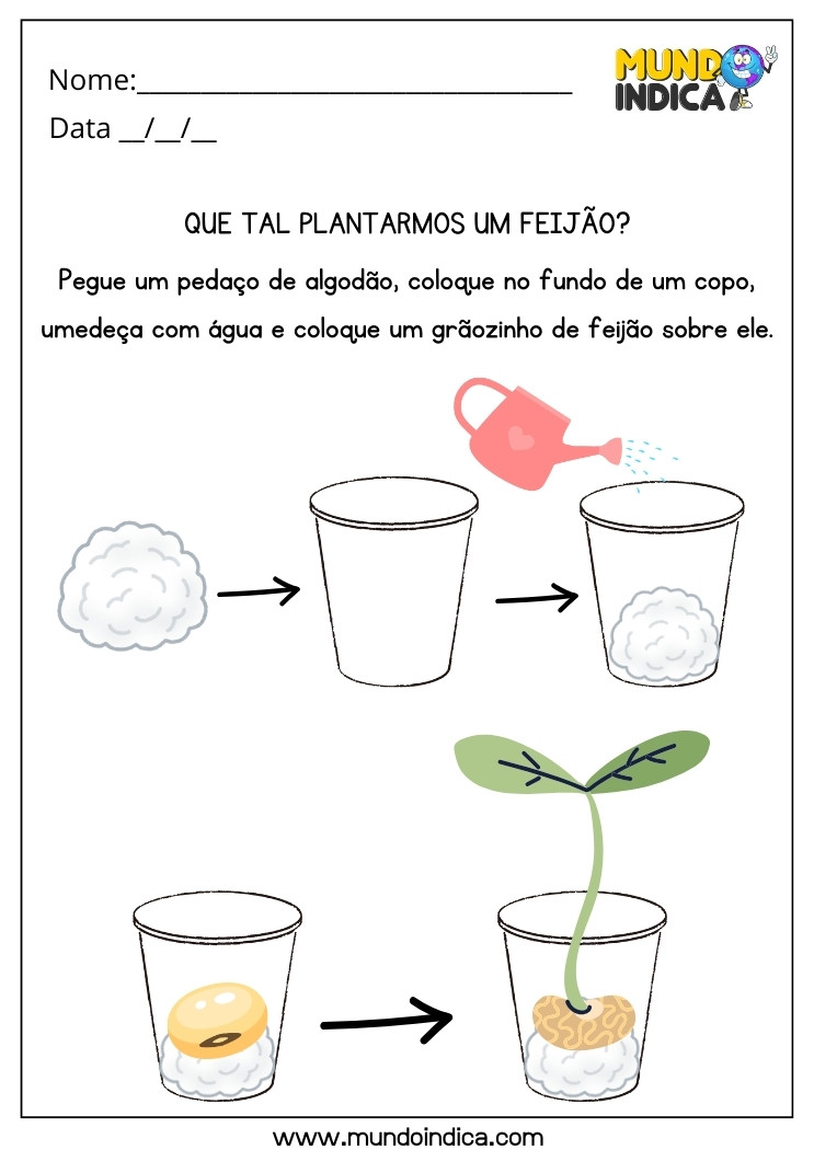 Atividade Lúdica sobre o Meio Ambiente para Plantar um Feijão