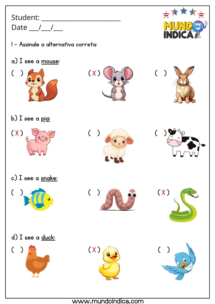 Atividade de Inglês 3 Ano com Animais com Respostas para Imprimir