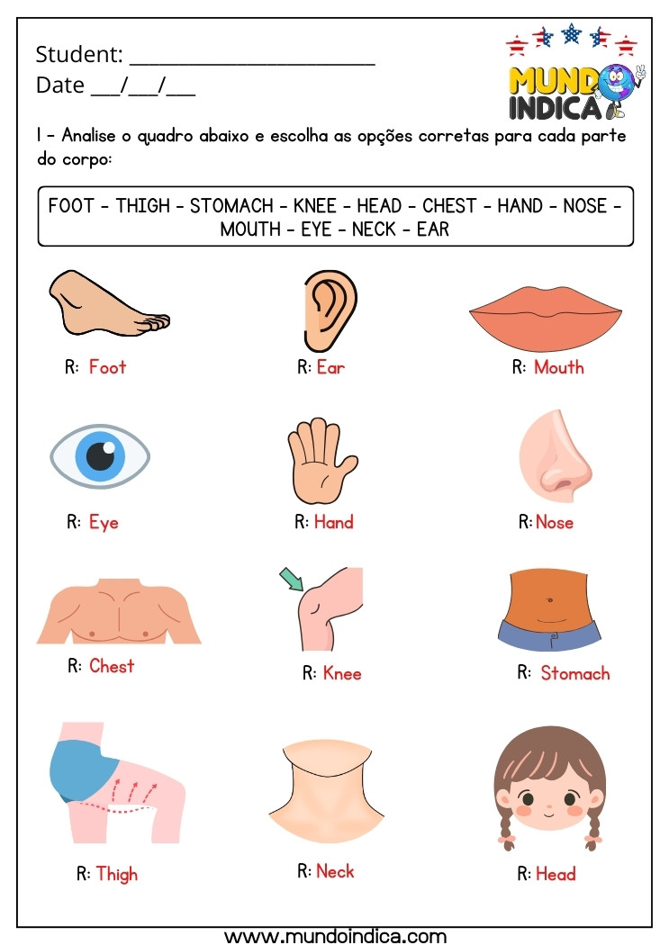 Atividade de Inglês 4 Ano com Partes do Corpo Humano com Respostas