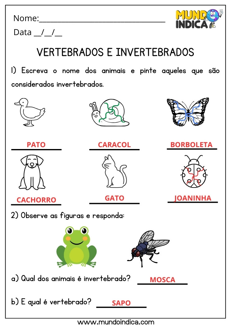 Atividade de Ciências Animais Vertebrados e Invertebrados para 2 ano Ensino Fundamental com Respostas para Imprimir