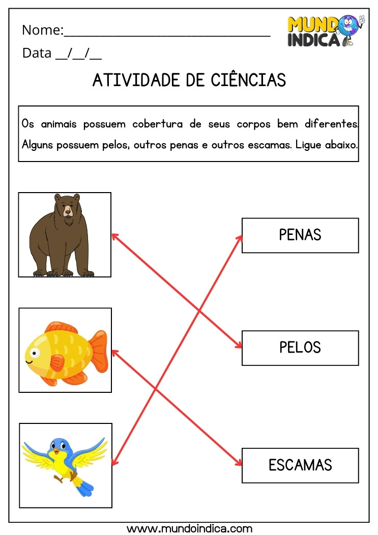 Atividade de Ciências Animais com Penas, Pelos e Escamas para 2 ano Ensino Fundamental com Respostas para Imprimir