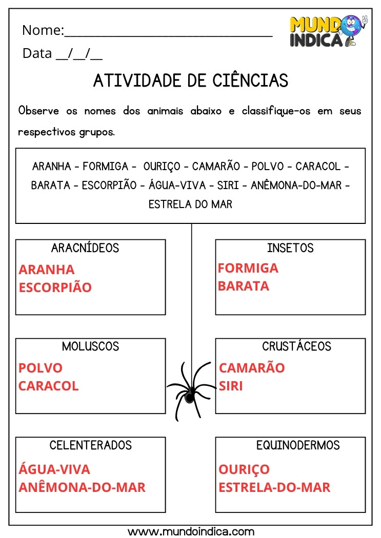 Atividade de Ciências Classifique os Animais nos Grupos Aracnídeos, Insetos, Moluscos, Crustáceos, Celenterados, Equinodermos para 3 ano com Respostas