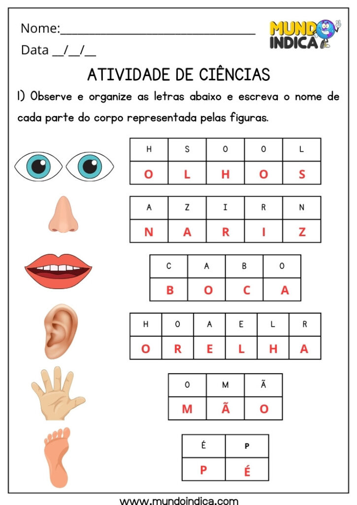 20 Atividades de Ciências para 1 ano Ensino Fundamental com Respostas