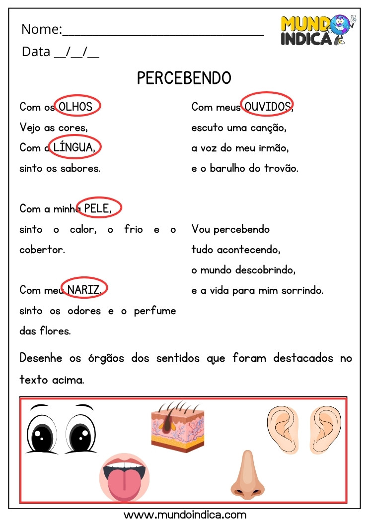 Atividade de Ciências Texto dos 5 Sentidos e Desenho das Palavras Destacadas para 2 ano Ensino Fundamental com Respostas para Imprimir