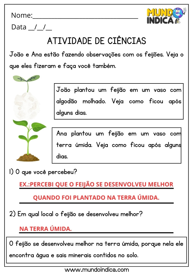 Atividade de Ciências com Análise e Percepção das Plantações de Feijão do João e da Ana para 2 ano Ensino Fundamental com Respostas para Imprimir