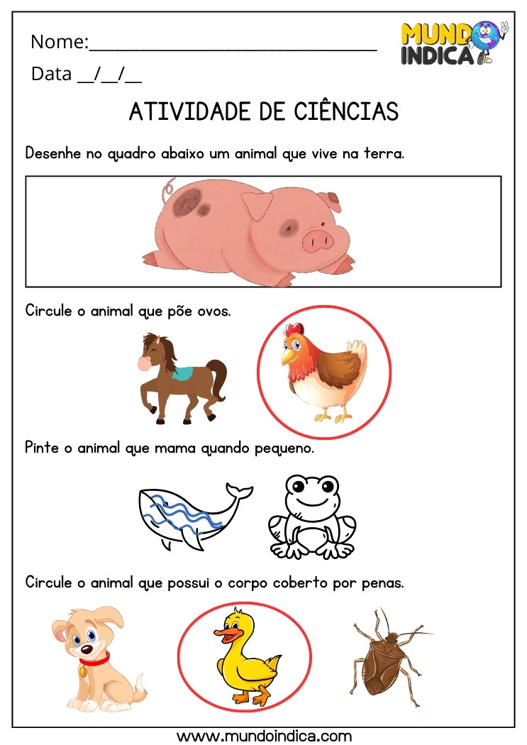Atividade de Ciências com Desenho e Perguntas sobre Animais Ovíparos, Mamíferos, e com Penas para 3 ano Ensino Fundamental com Respostas para Imprimir