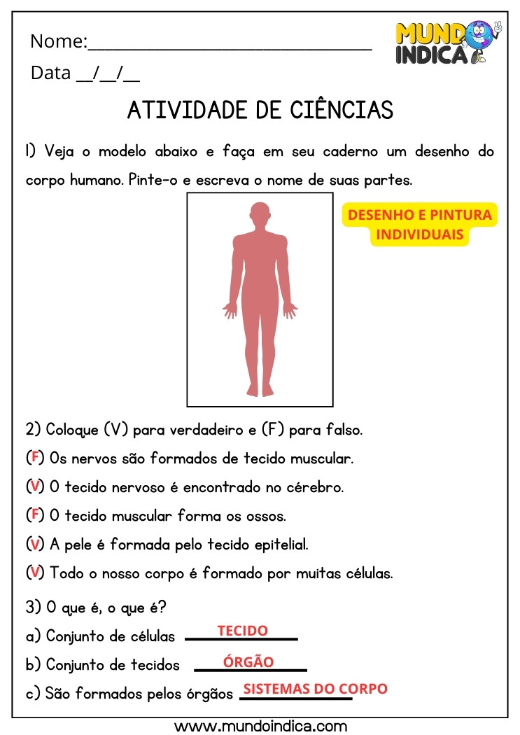 Atividade de Ciências com Desenho e Pintura do Corpo Humano, Verdadeiro ou Falso e Perguntas para 5 ano Ensino Fundamental com Respostas para Imprimir