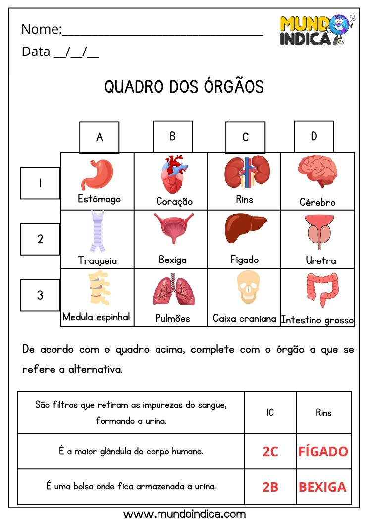 Atividade de Ciências com Quadro de Órgãos para 5 ano Ensino Fundamental com Respostas para Imprimir