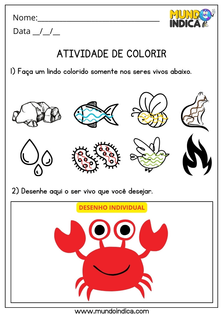 Atividade de Ciências com Respostas para Colorir os Seres Vivos e Desenhar para Imprimir