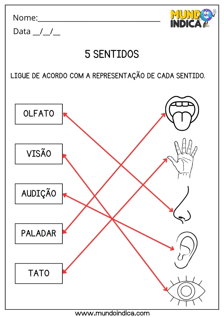Atividade de Ciências com Respostas sobre 5 Sentidos para Imprimir