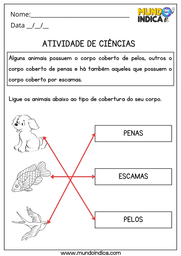 Atividade de Ciências com Respostas sobre Animais com Penas, Escamas e Pelos para Imprimir
