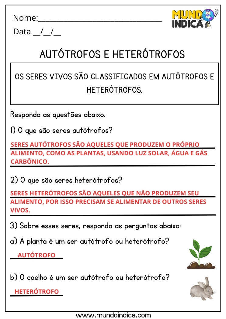 Atividade de Ciências com Respostas sobre Seres Autótrofos e Heterótrofos para Imprimir