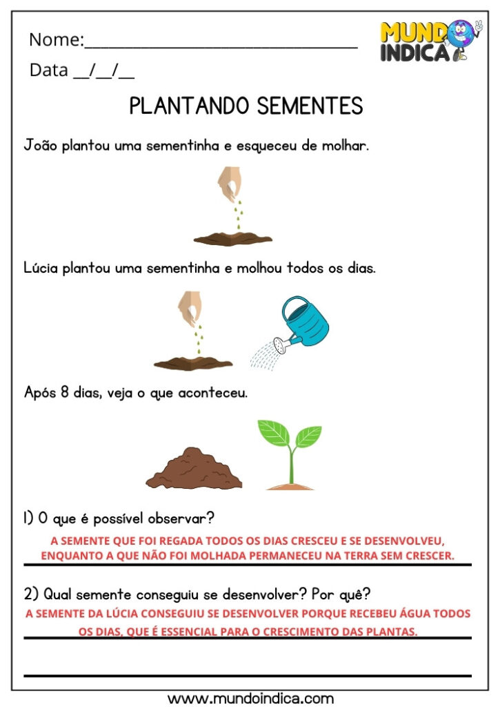 20 Atividades de Ciências para 3 ano Ensino Fundamental com Respostas