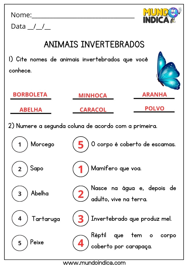 Atividade de Ciências sobre Animais Invertebrados para 2 ano Ensino Fundamental com Respostas para Imprimir