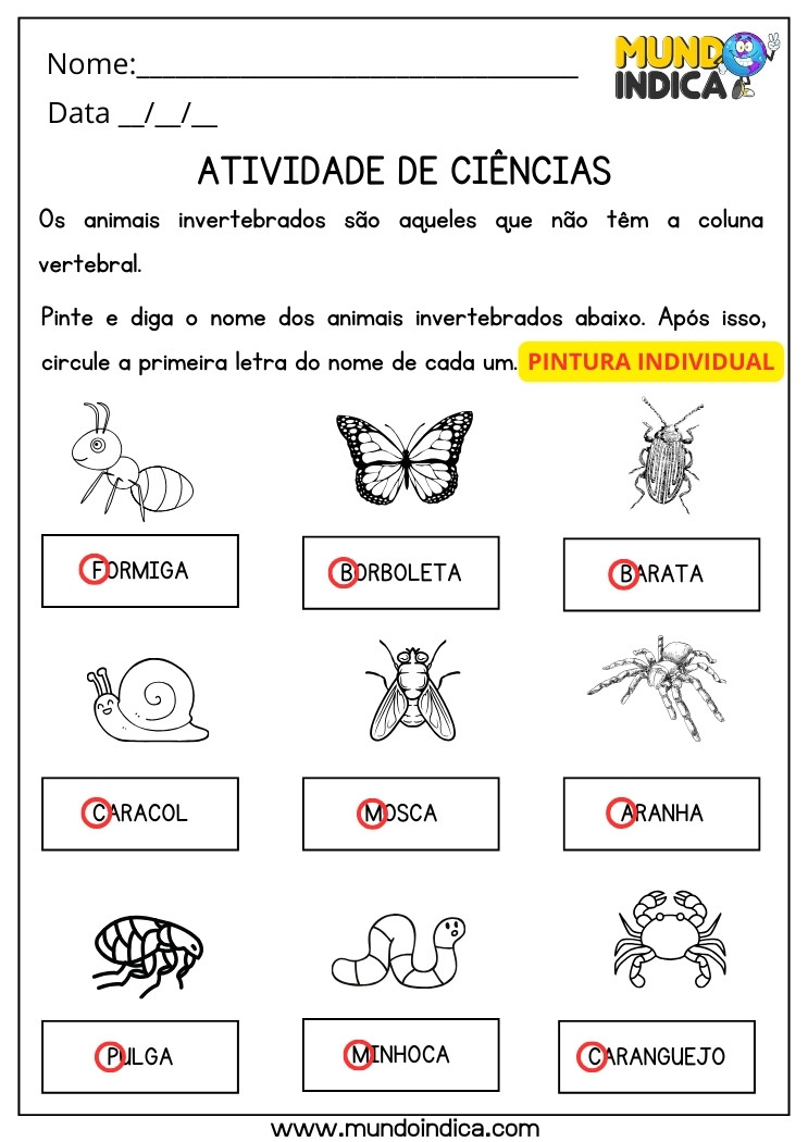 Atividade de Ciências sobre Animais Invertebrados para 3 ano Ensino Fundamental com Respostas para Imprimir