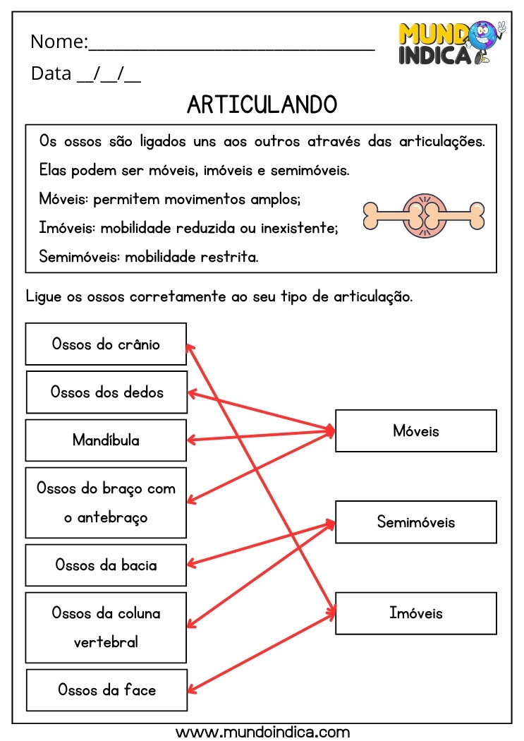 Atividade de Ciências sobre Articulação para Ligar os Ossos às Articulações Móveis, Semimóveis e Imóveis para 5 ano Ensino Fundamental com Respostas para Imprimir