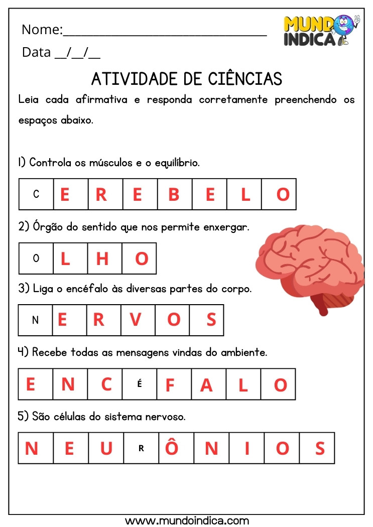 Atividade de Ciências sobre Cerebelo, Olho, Nervos, Encéfalo, Neurônios para 5 ano Ensino Fundamental com Respostas para Imprimir