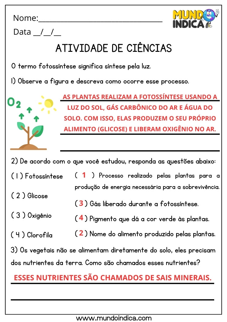 Atividade de Ciências sobre Fotossíntese, Glicose, Oxigênio, Clorofila e Sais Minerais para 4 ano Ensino Fundamental com Respostas para Imprimir