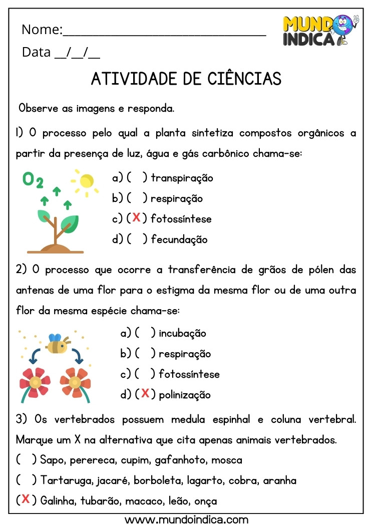 Atividade de Ciências sobre Fotossíntese, Polonização e Animais Vertebrados para 4 ano Ensino Fundamental com Respostas para Imprimir
