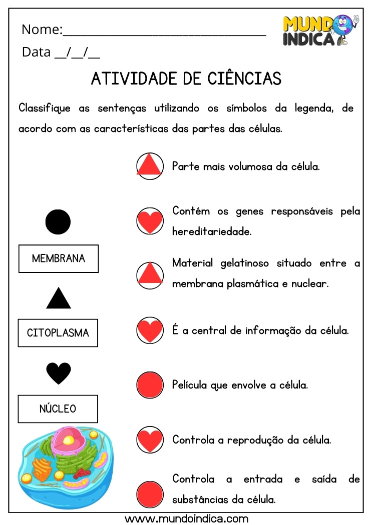 Atividade de Ciências sobre Membrana, Citoplasma e Núcleo para 5 ano Ensino Fundamental com Respostas para Imprimir