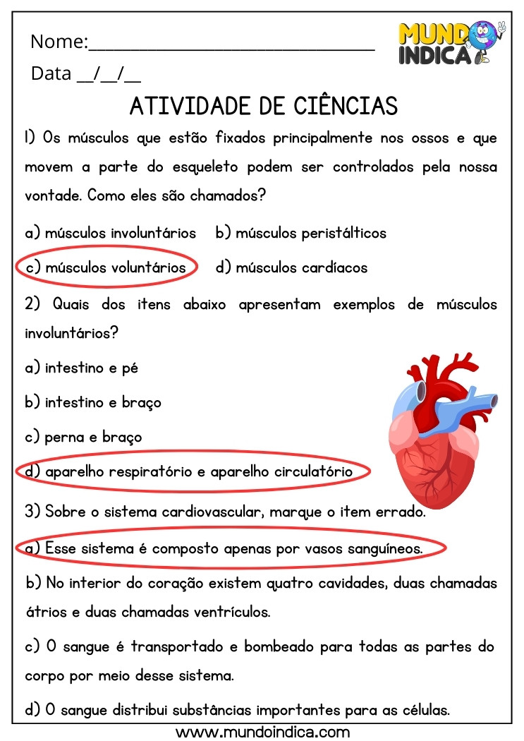 Atividade de Ciências sobre Músculos Voluntários, Involuntários e Sistema Cardiovascular para 5 ano Ensino Fundamental com Respostas para Imprimir