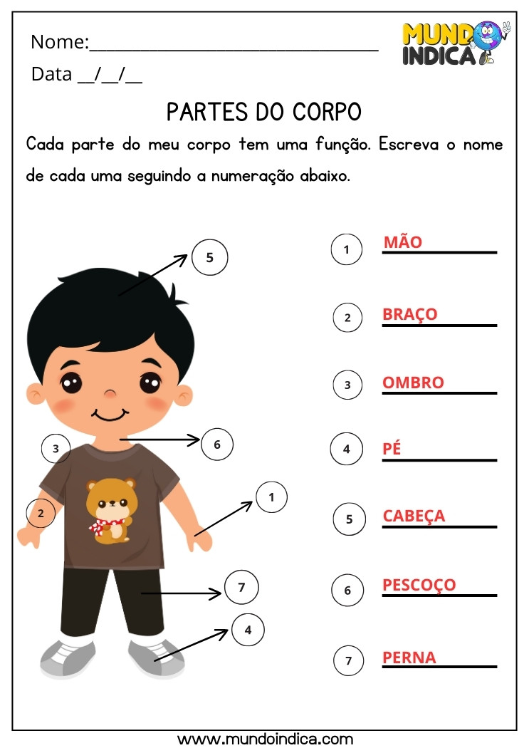 Atividade de Ciências sobre Partes do Corpo Humano para 2 ano Ensino Fundamental com Respostas para Imprimir