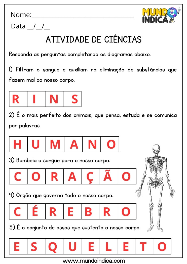 Atividade de Ciências sobre Partes do Corpo Humano para Completar os Diagramas Conforme as Frases para 3 ano Ensino Fundamental com Respostas para Imprimir