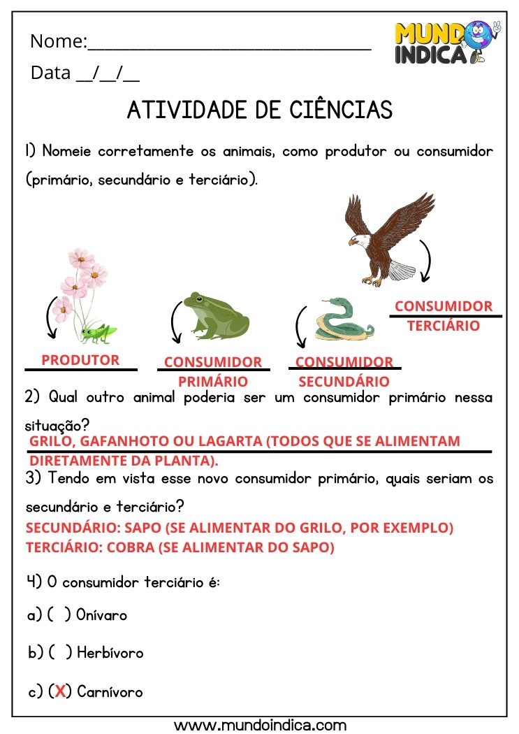 Atividade de Ciências sobre Produtor, Consumidor Primário, Secundário e Terciário para 5 ano Ensino Fundamental com Respostas para Imprimir